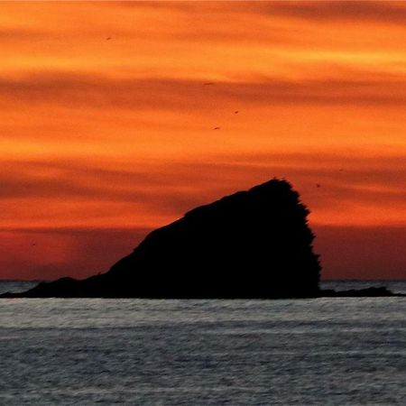Es Volca Apartman Cadaqués Kültér fotó