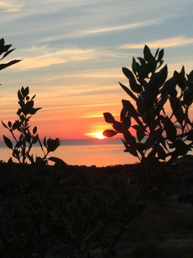 Es Volca Apartman Cadaqués Kültér fotó